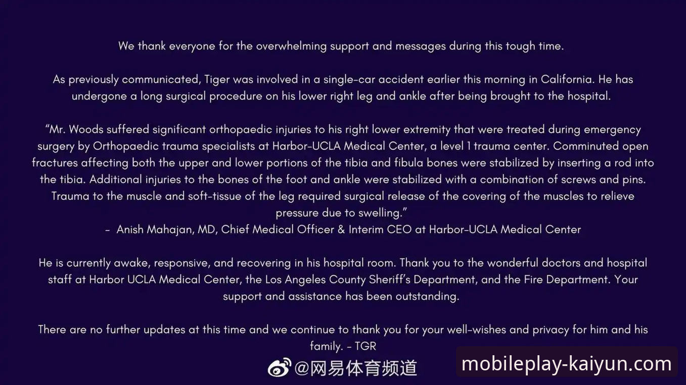 高尔夫传奇伍兹药物影响驾驶事件深度解析：从赛场英雄到健康挑战的完整用户指南